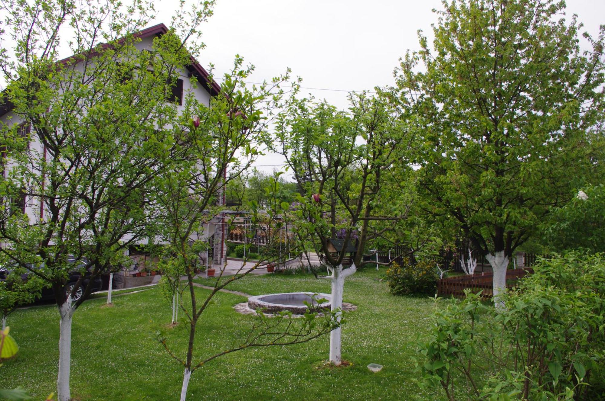 Apartment Tomy Slunj Luaran gambar